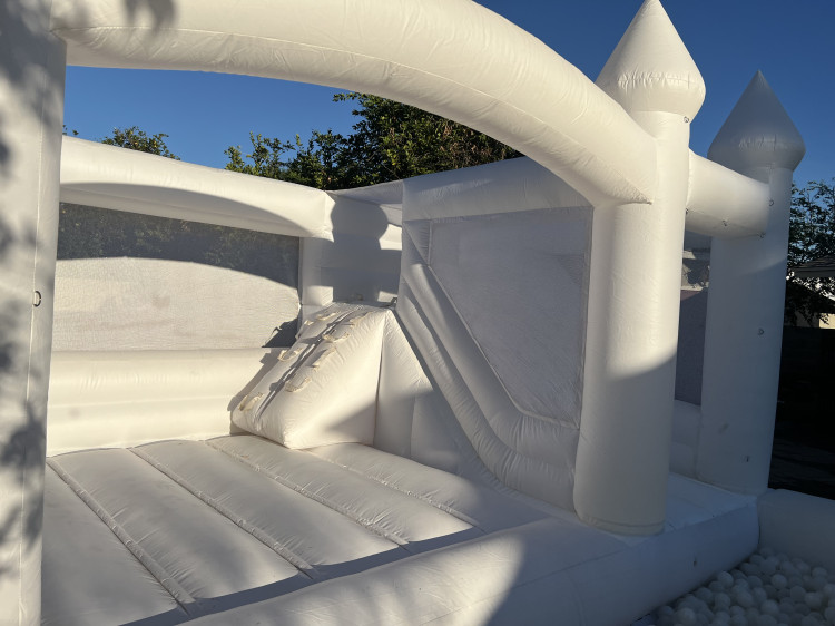 IMG 4266 1764035150 big Home